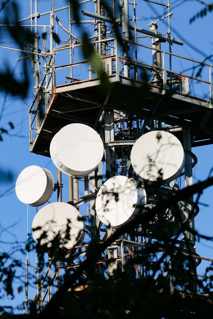 Telecommunication tower with antennas and satellite dishes seen through branches in Podgarić, Croatia.